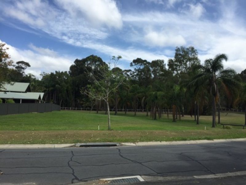 46 Ruth Terrace, Oxenford QLD 4210