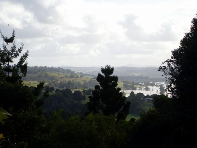 199 Cameron Road, Mcleans Ridges NSW 2480