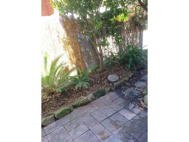 2b/3 Grafton Crescent, Dee Why NSW 2099