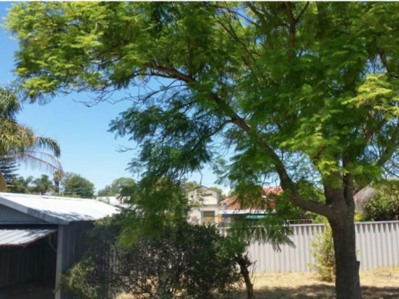 50 Joondanna Dr, Joondanna WA 6060