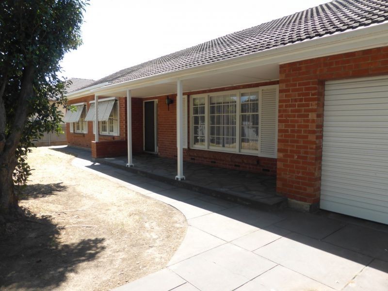 81 Winston Ave, Daw Park SA 5041