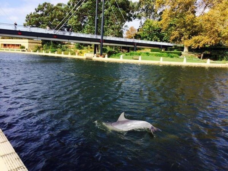 2/24 Saunders St, East Perth WA 6004