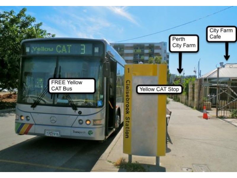 2/24 Saunders St, East Perth WA 6004