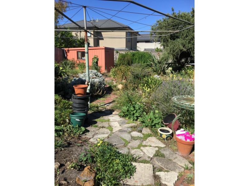 14 Lorraine St, Cheltenham VIC 3192