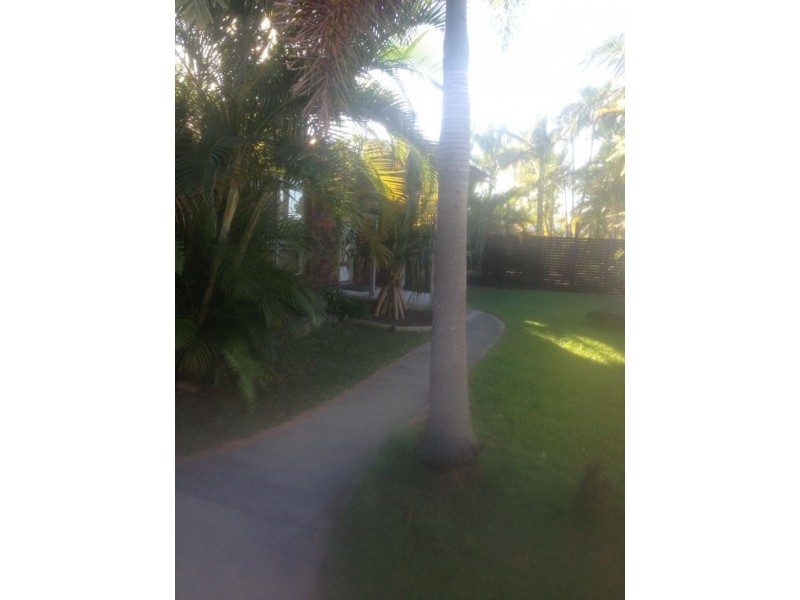 53 Cootamundra Drive, Mountain Creek QLD 4557