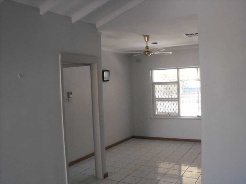 41 Auricchio Avenue, St Marys SA 5042