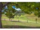 218 Mount Street, Bellingen NSW 2454