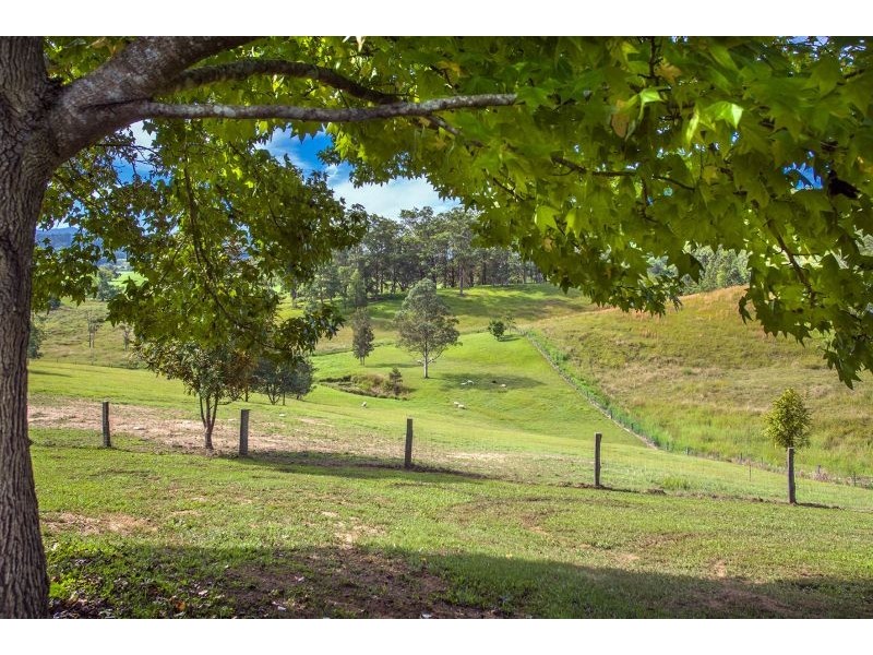 218 Mount Street, Bellingen NSW 2454