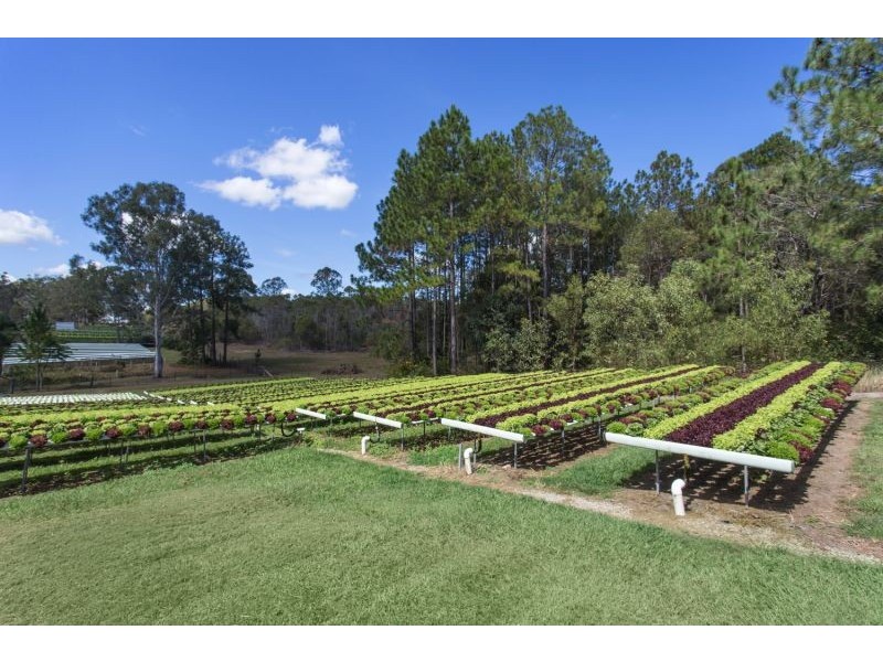 207 Ironbark Drive, Woodford QLD 4514