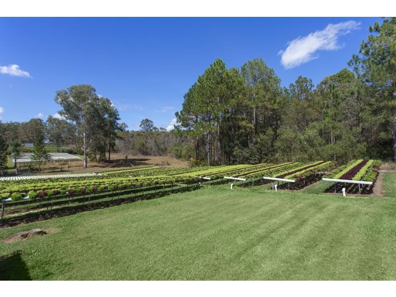 207 Ironbark Drive, Woodford QLD 4514