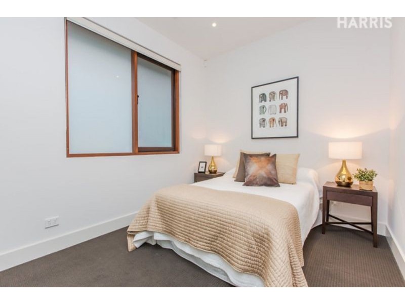 19 Adelaide Street, Magill SA 5072