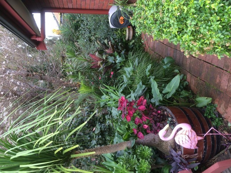 1a Hackett Terrace, Marryatville SA 5068