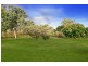 Acacia Hills NT 0822