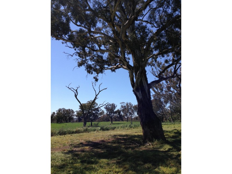 1 Archer Close, Yass NSW 2582