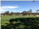 1 Archer Close, Yass NSW 2582