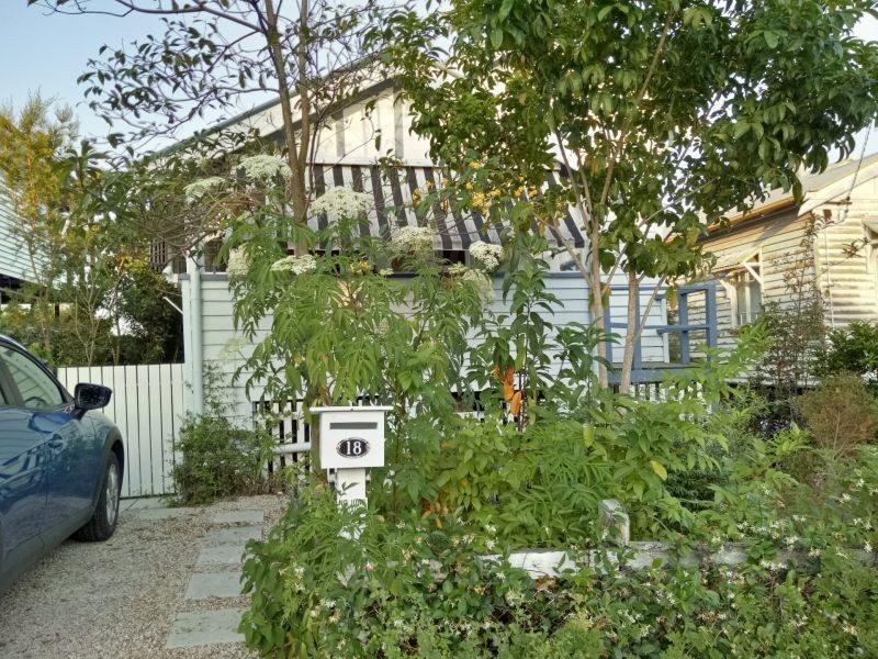 18 Primmer Street, Coorparoo QLD 4151