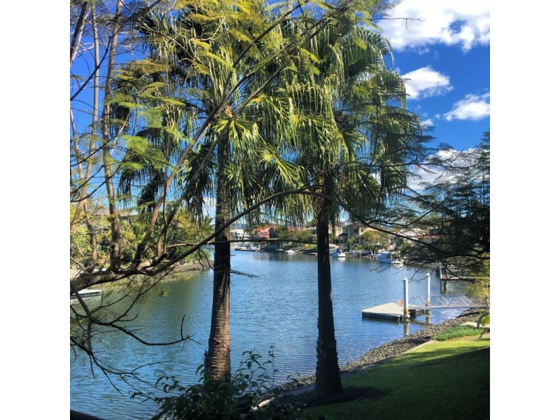 11/24 Slatyer Avenue, Bundall QLD 4217