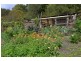 10 Warrior, Molloy Island WA 6290
