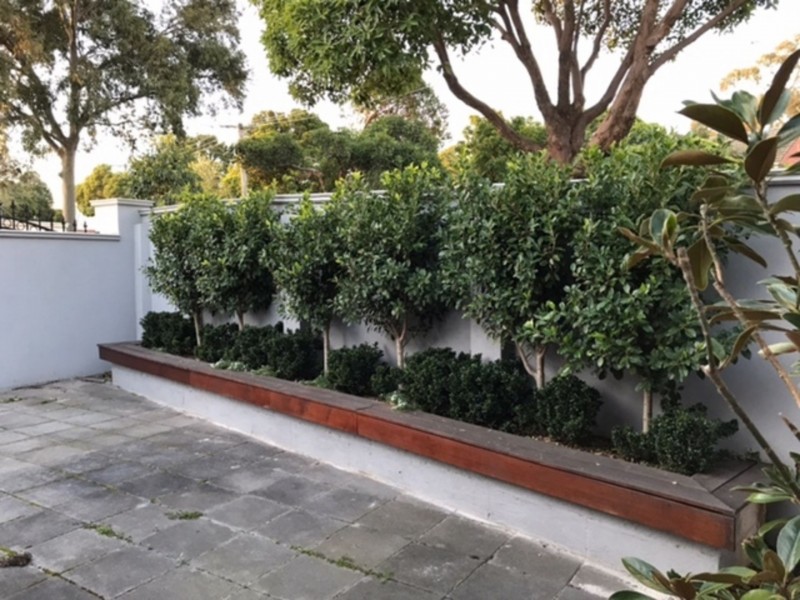 1 Huon Gr, Ashburton VIC 3147