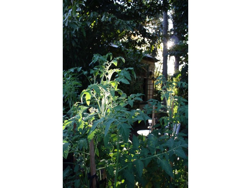 12 George St, Tighes Hill NSW 2297