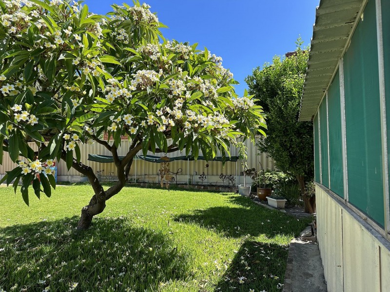 142 Shakespeare Ave, Yokine WA 6060