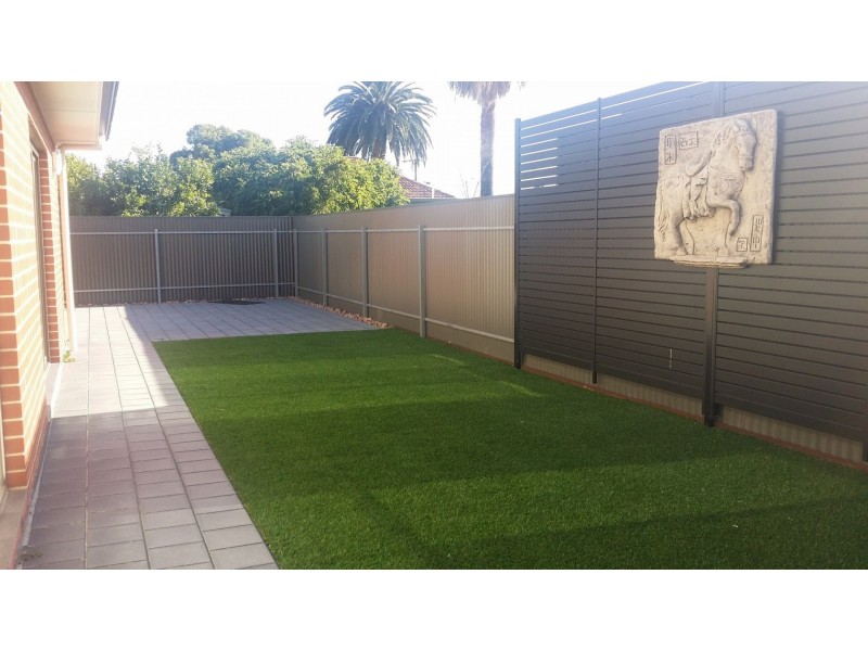 11 Thistle Ave, Flinders Park SA 5025