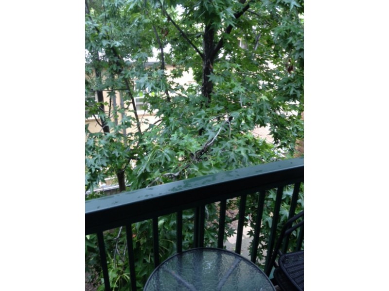 16/388 Carrington St, Adelaide SA 5000