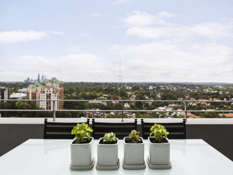 1102/11 Chandos St, St Leonards NSW 2065