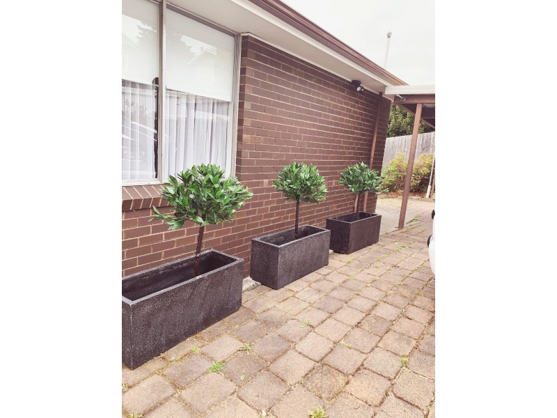 8 Red Knights Rd, Sandy Bay TAS 7005