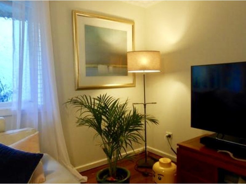 14 Collings St, Balmoral QLD 4171