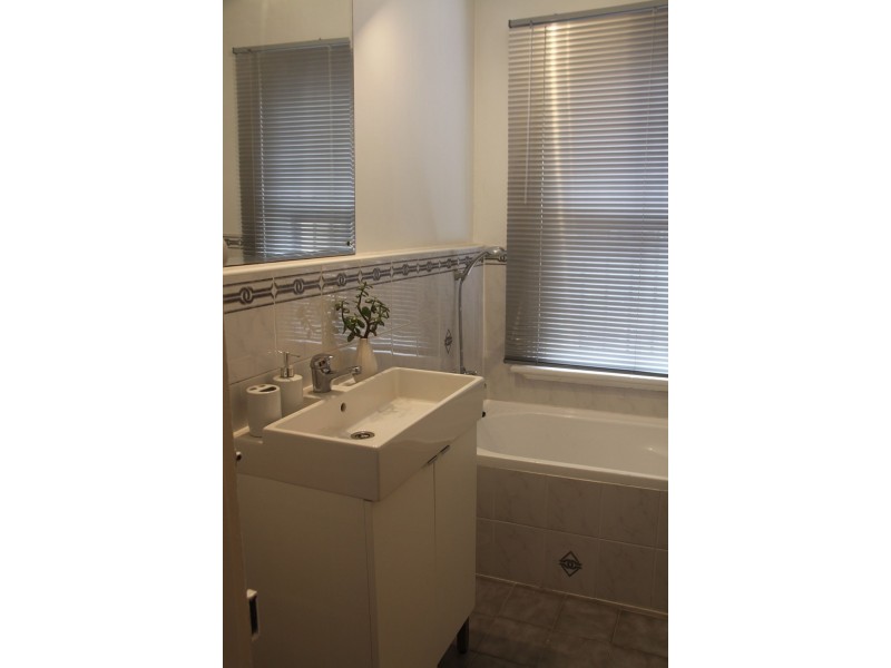 88 Albion, Annandale NSW 2038