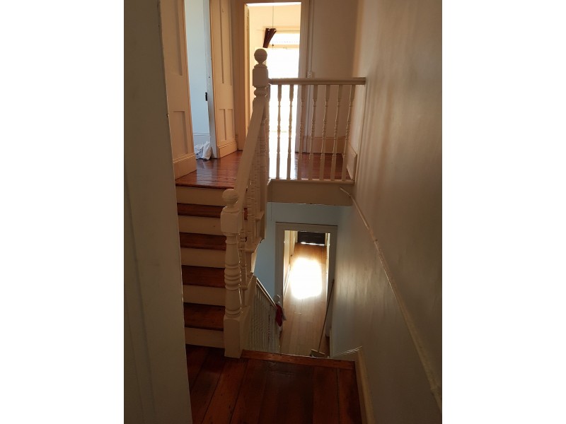 88 Albion, Annandale NSW 2038