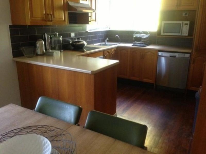 16 Dahlia St, Cannon Hill QLD 4170