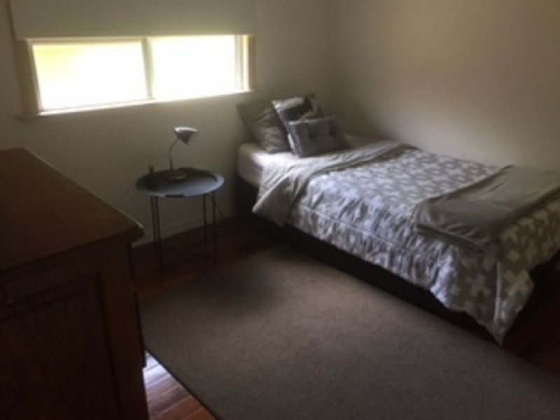 16 Dahlia St, Cannon Hill QLD 4170