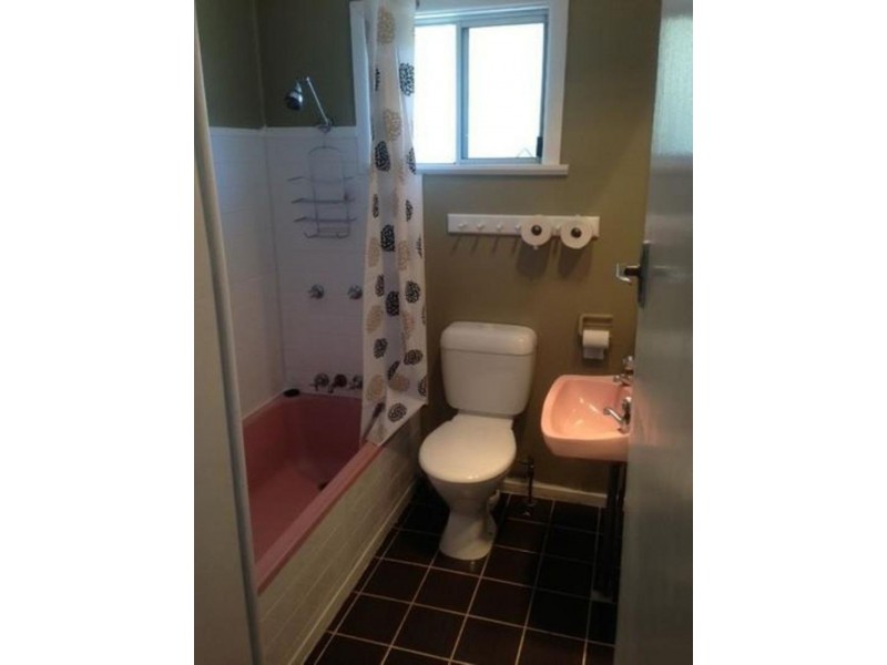 16 Dahlia St, Cannon Hill QLD 4170