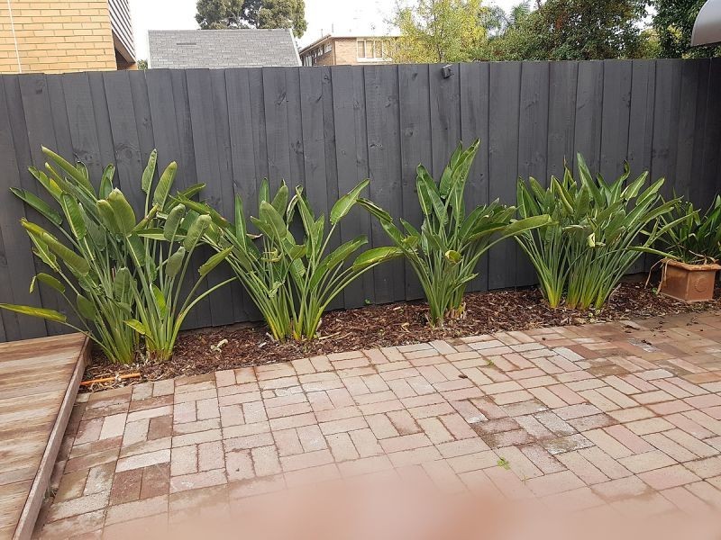 21 Marriott St, St Kilda VIC 3182