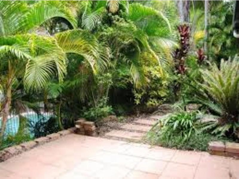 3 Alfriston Dr, Buderim QLD 4556