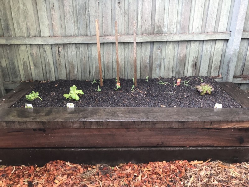 2/141 Elm St, Northcote VIC 3070