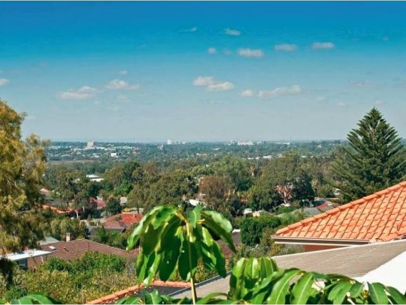 88 Paramatta Rd, Doubleview WA 6018