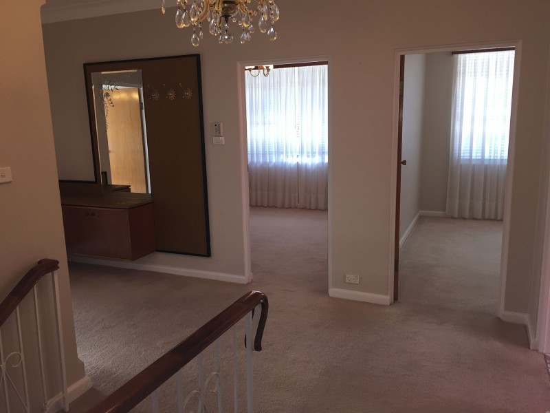 3A Olga St, Chatswood NSW 2067