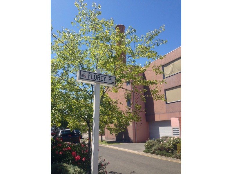 13 Florey Pl, Adelaide SA 5000