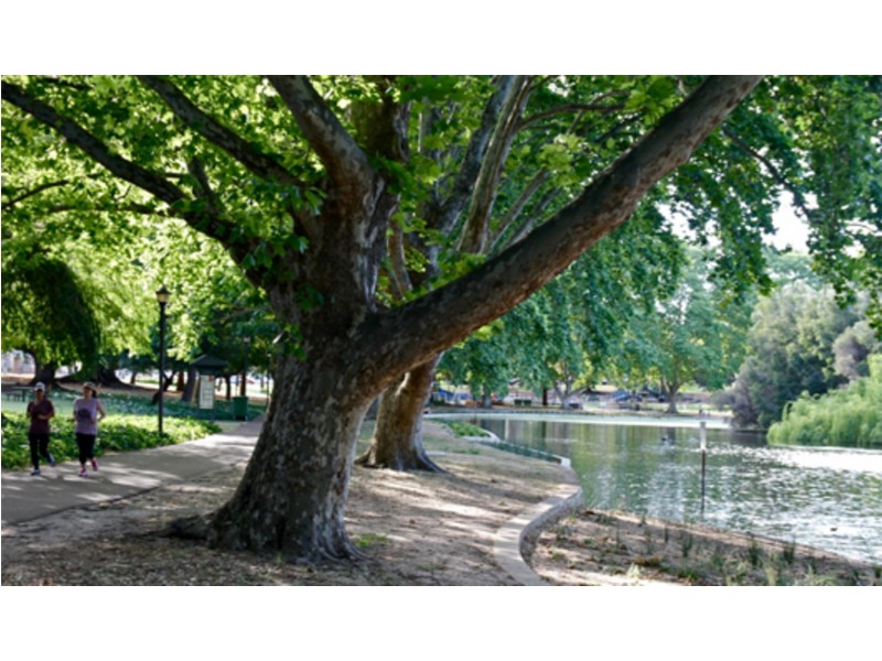 185 Fitzgerald St, West Perth WA 6005