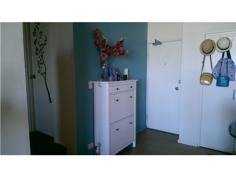 1002/71-75 Regent St, Chippendale NSW 2008