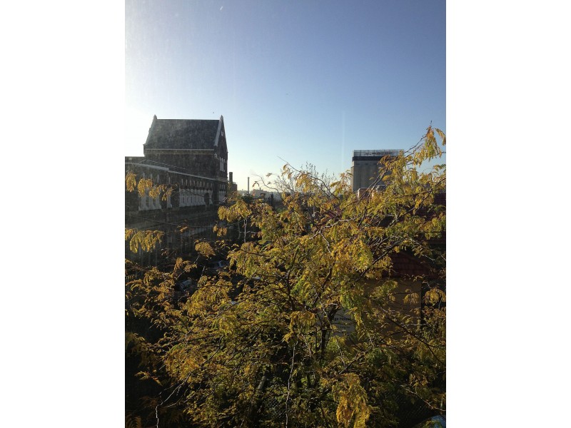 Collingwood VIC 3066