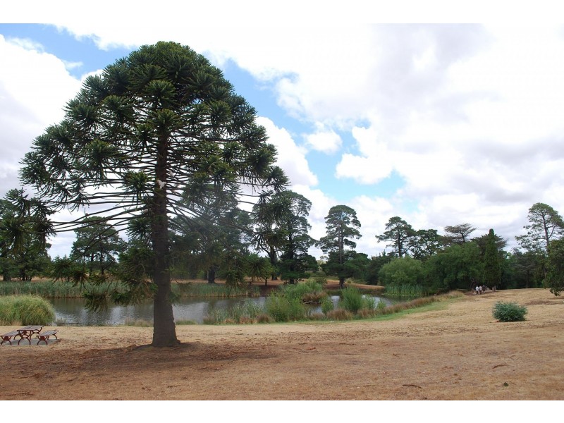 52 Main Rd, Riddells Creek VIC 3431