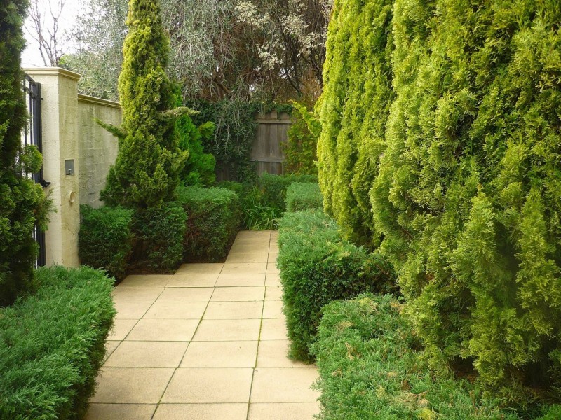 3/100 Barkers Rd, Hawthorn VIC 3122