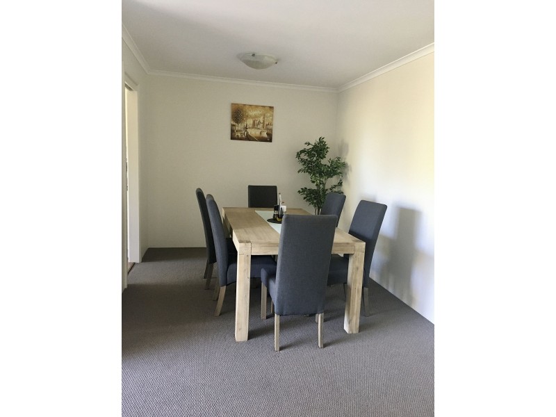 12/47 Lithgow St, St Leonards NSW 2065