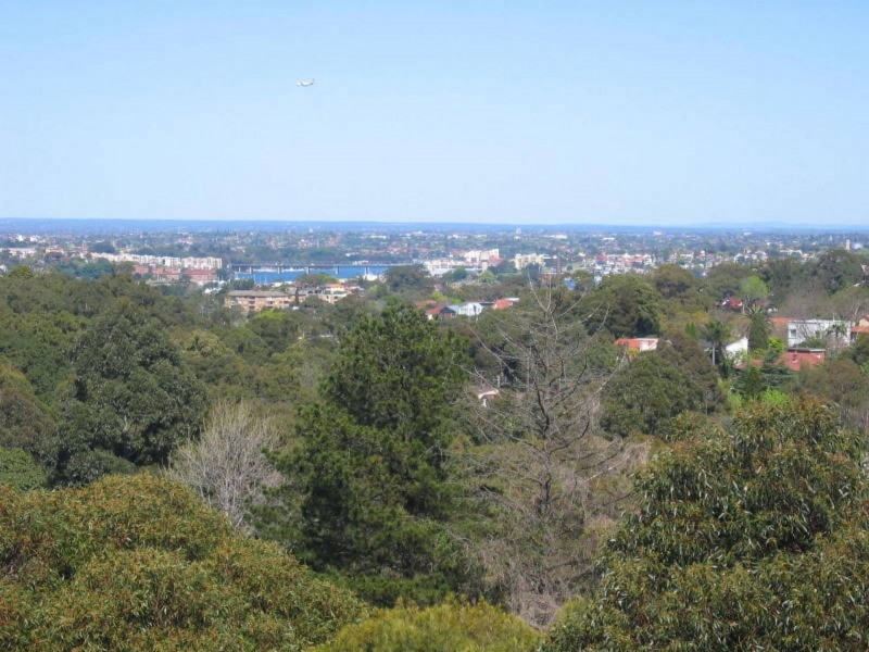 12/47 Lithgow St, St Leonards NSW 2065