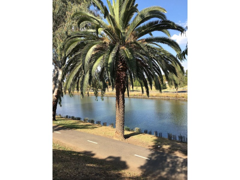 3/293 Buckley St, Essendon VIC 3040