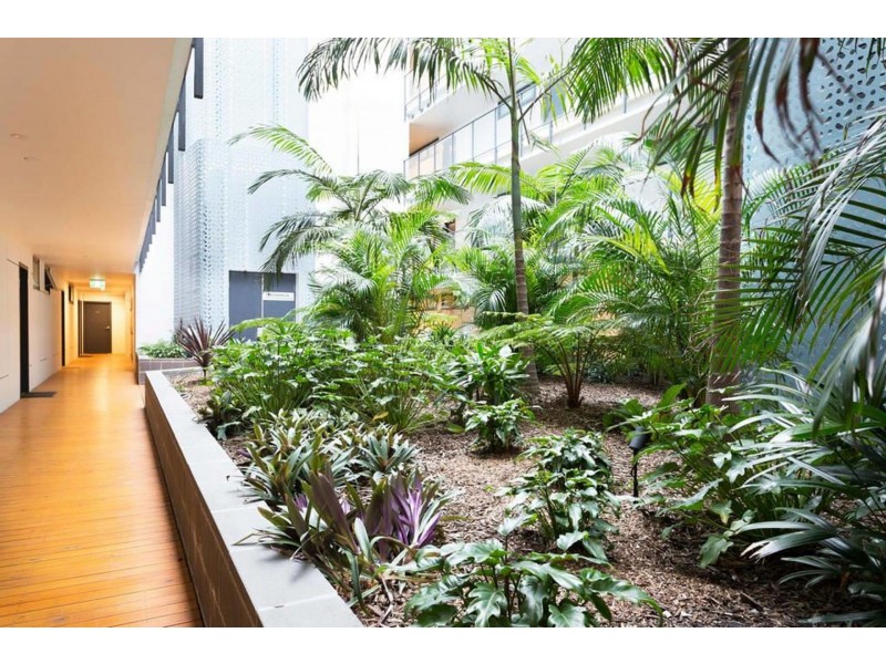 207/16-22 Sturdee Pde, Dee Why NSW 2099